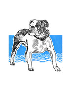 BOXER - Unisex t-shirt